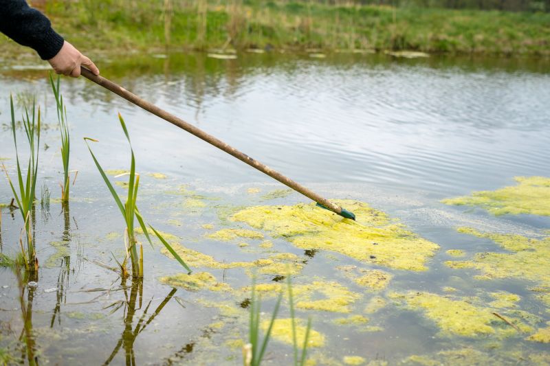 Professional Pond Cleaners